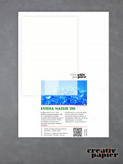 EVIDIA natur 110
