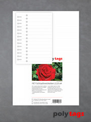 PET-Schlaufenetiketten 2119 a4