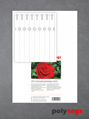 PET-Schlaufenetiketten 2525