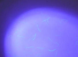 Beispiel - UV-Fasern