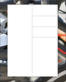 Etikettensatz für Triathlon-Athleten