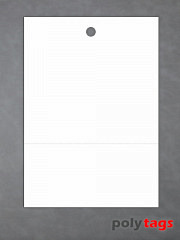 laserFOL PET 125 logistik perfo - 500 Blatt