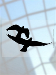 glass contact foil a4