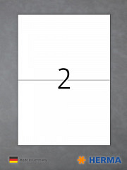 HERMA OutDoor-Folienetiketten 9541