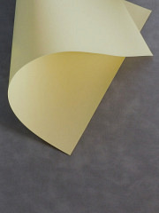 neobond 60.200 a3 chamois - 50 Blatt